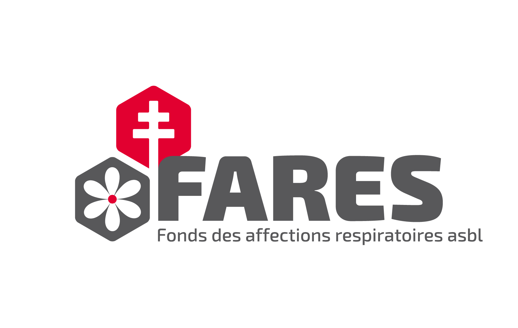 Logo FARES