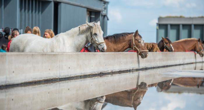 De Boerekreek sans tabac